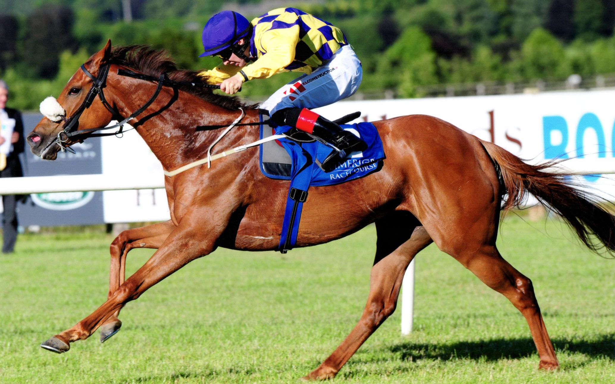 ARTISTIC MELODY forges ahead of her rivals at Limerick, 22nd June 2018